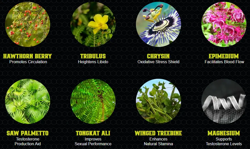 ErecPrime Ingredients